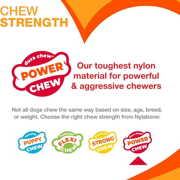 Broccoli Power Chew Toy for Dogs, Dog Toys for Aggressive Chewers, Bacon & Chees - Picture 6 of 14